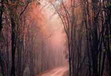 恒大巴尔德斯成为中超联赛最佳进球手