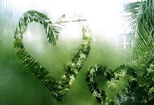 快狼队势不可挡，多场胜利证明实力