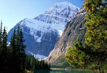 篮球教练发布在线训练视频，鼓励球迷保持锻炼