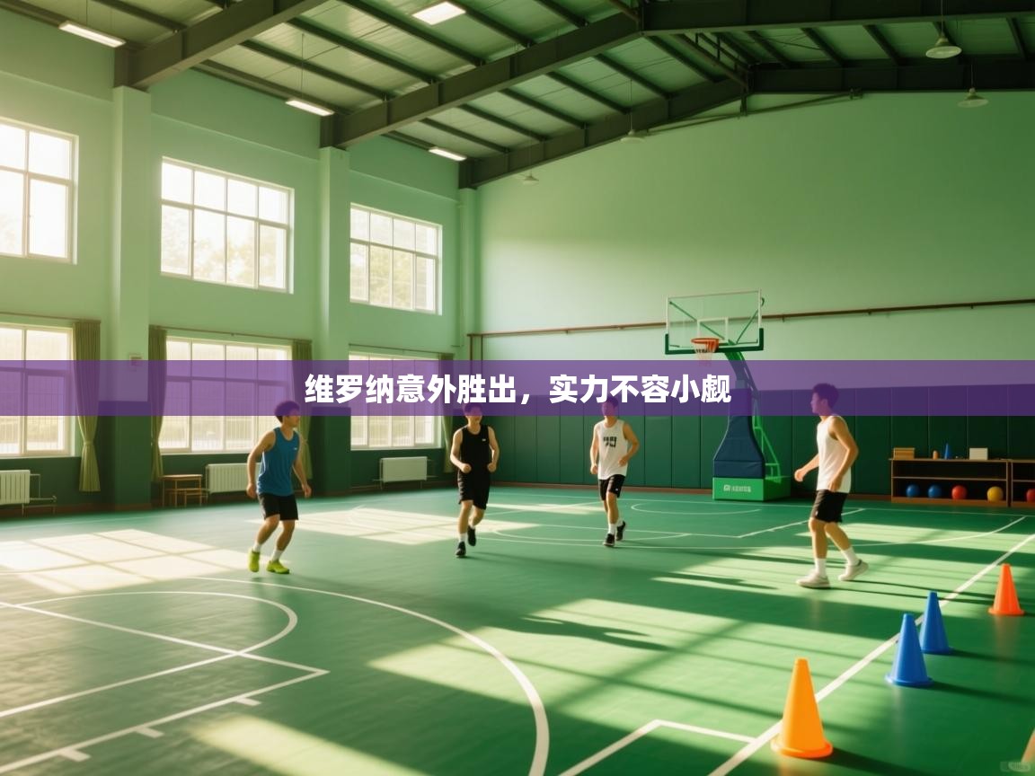 维罗纳意外胜出，实力不容小觑  第2张